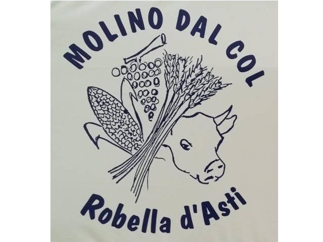 Robella | 100 sfumature di viole